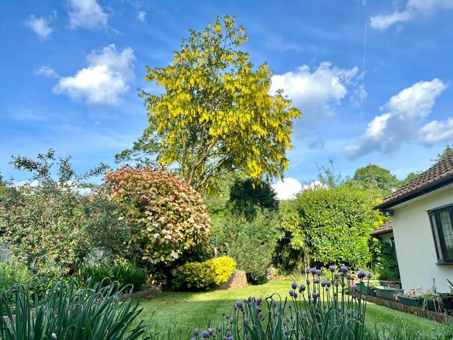 Linden Suite Goring Exterior photo